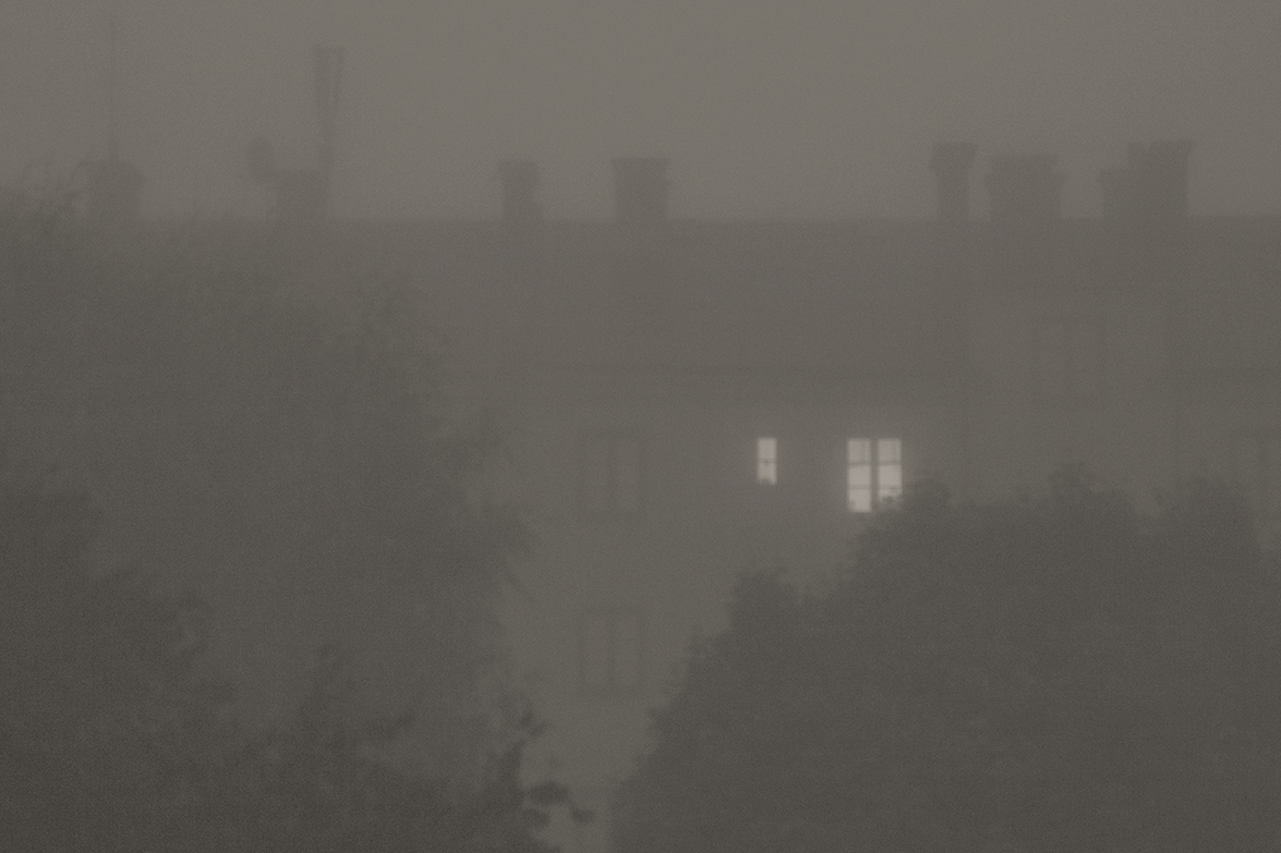 fog-morning