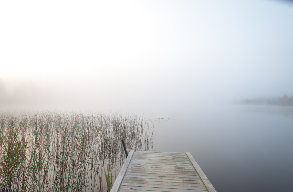misty-lake