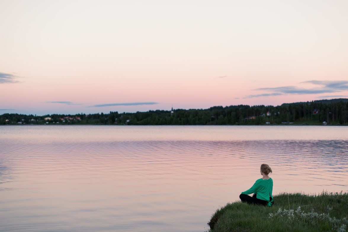 Katta i Särna